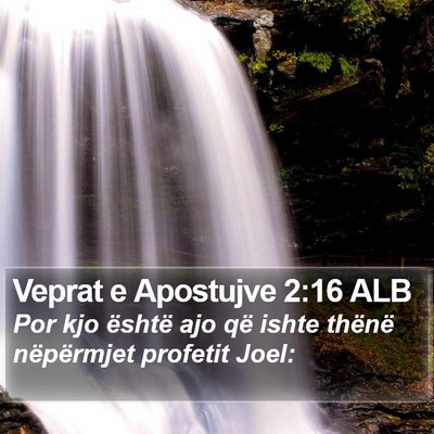 Veprat e Apostujve 2:16 ALB Bible Verse Image