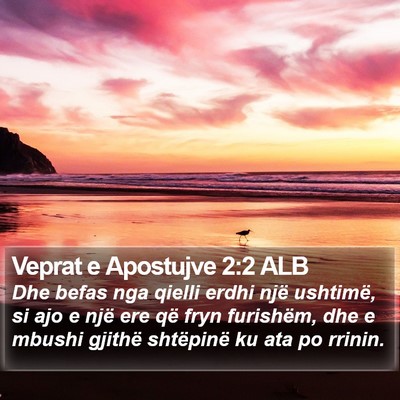 Veprat e Apostujve 2:2 ALB Bible Verse Image