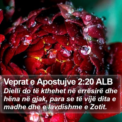 Veprat e Apostujve 2:20 ALB Bible Verse Image