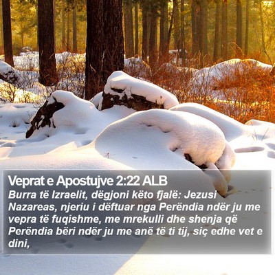 Veprat e Apostujve 2:22 ALB Bible Verse Image