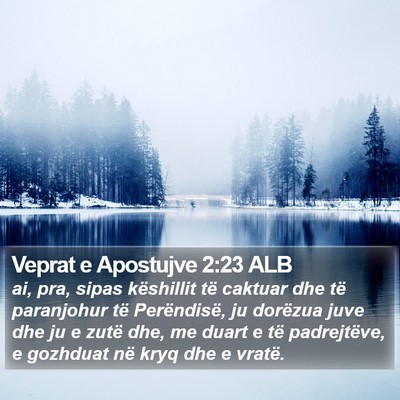 Veprat e Apostujve 2:23 ALB Bible Verse Image