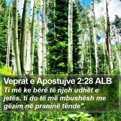 Veprat e Apostujve 2:28 ALB Bible Verse Image