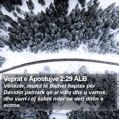 Veprat e Apostujve 2:29 ALB Bible Verse Image