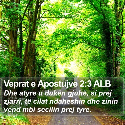 Veprat e Apostujve 2:3 ALB Bible Verse Image