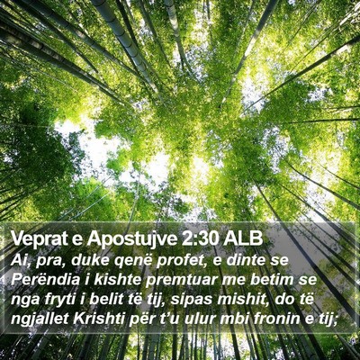 Veprat e Apostujve 2:30 ALB Bible Verse Image