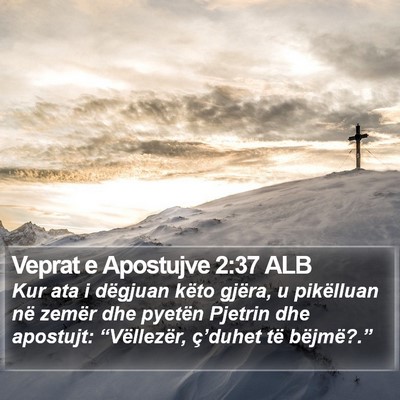 Veprat e Apostujve 2:37 ALB Bible Verse Image