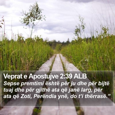 Veprat e Apostujve 2:39 ALB Bible Verse Image