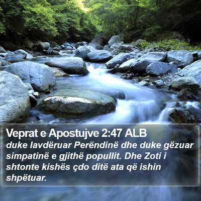 Veprat e Apostujve 2:47 ALB Bible Verse Image