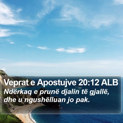 Veprat e Apostujve 20:12 ALB Bible Verse Image