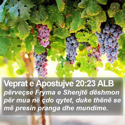 Veprat e Apostujve 20:23 ALB Bible Verse Image