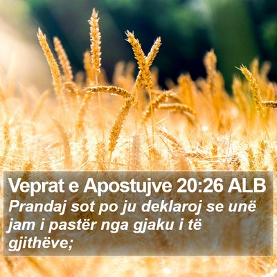Veprat e Apostujve 20:26 ALB Bible Verse Image
