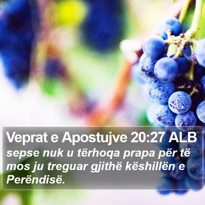 Veprat e Apostujve 20:27 ALB Bible Verse Image