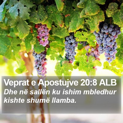 Veprat e Apostujve 20:8 ALB Bible Verse Image