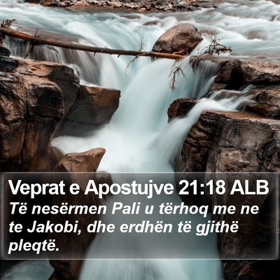 Veprat e Apostujve 21:18 ALB Bible Verse Image