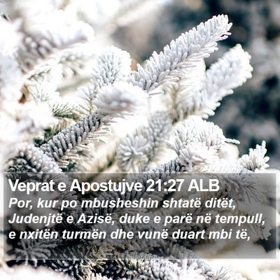 Veprat e Apostujve 21:27 ALB Bible Verse Image