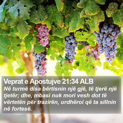 Veprat e Apostujve 21:34 ALB Bible Verse Image