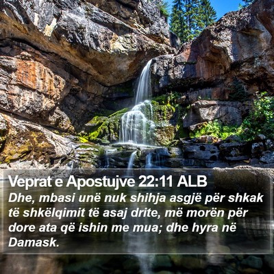 Veprat e Apostujve 22:11 ALB Bible Verse Image