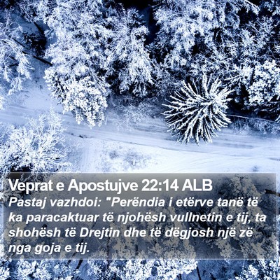 Veprat e Apostujve 22:14 ALB Bible Verse Image