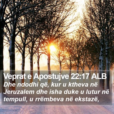 Veprat e Apostujve 22:17 ALB Bible Verse Image