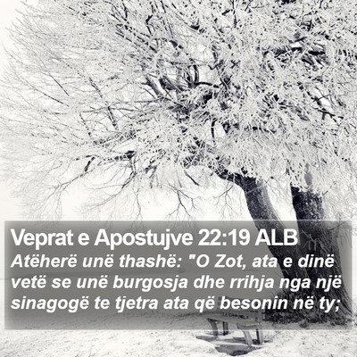 Veprat e Apostujve 22:19 ALB Bible Verse Image