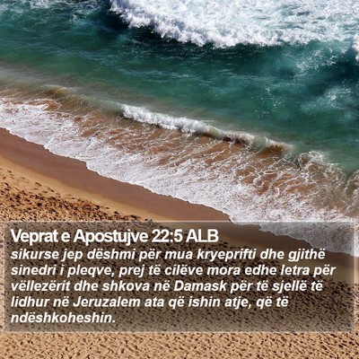 Veprat e Apostujve 22:5 ALB Bible Verse Image