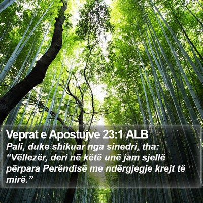 Veprat e Apostujve 23:1 ALB Bible Verse Image