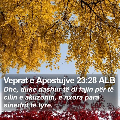 Veprat e Apostujve 23:28 ALB Bible Verse Image