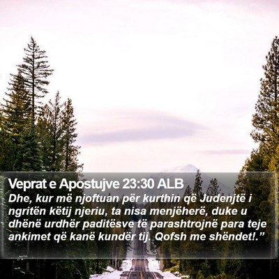 Veprat e Apostujve 23:30 ALB Bible Verse Image