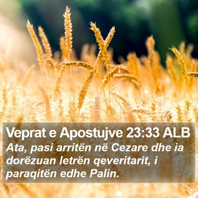 Veprat e Apostujve 23:33 ALB Bible Verse Image