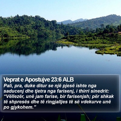 Veprat e Apostujve 23:6 ALB Bible Verse Image
