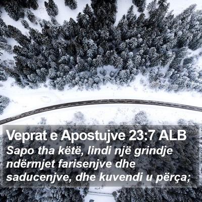Veprat e Apostujve 23:7 ALB Bible Verse Image