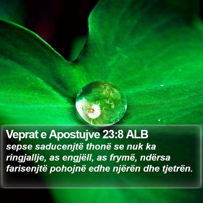 Veprat e Apostujve 23:8 ALB Bible Verse Image