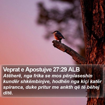 Veprat e Apostujve 27:29 ALB Bible Verse Image