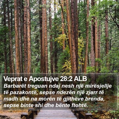 Veprat e Apostujve 28:2 ALB Bible Verse Image