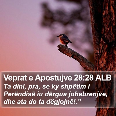 Veprat e Apostujve 28:28 ALB Bible Verse Image