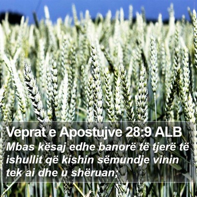 Veprat e Apostujve 28:9 ALB Bible Verse Image