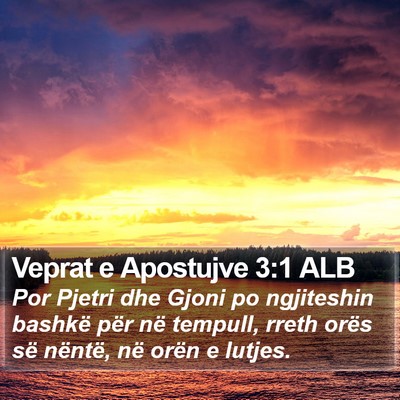 Veprat e Apostujve 3:1 ALB Bible Verse Image