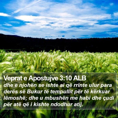 Veprat e Apostujve 3:10 ALB Bible Verse Image