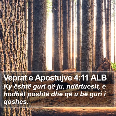 Veprat e Apostujve 4:11 ALB Bible Verse Image