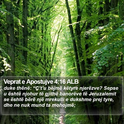 Veprat e Apostujve 4:16 ALB Bible Verse Image