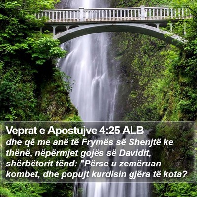 Veprat e Apostujve 4:25 ALB Bible Verse Image