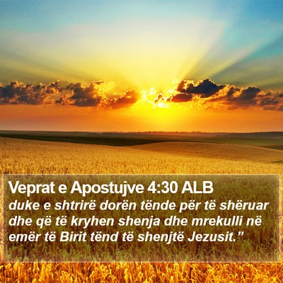 Veprat e Apostujve 4:30 ALB Bible Verse Image