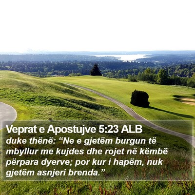 Veprat e Apostujve 5:23 ALB Bible Verse Image