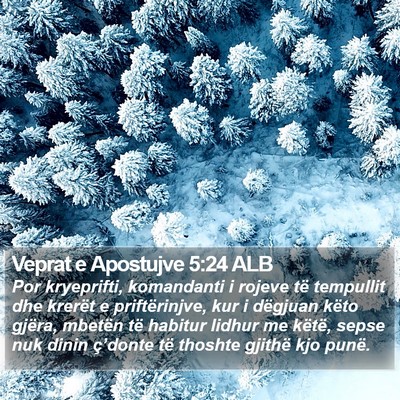 Veprat e Apostujve 5:24 ALB Bible Verse Image