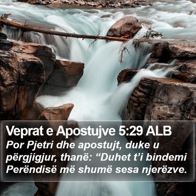 Veprat e Apostujve 5:29 ALB Bible Verse Image