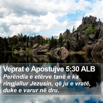 Veprat e Apostujve 5:30 ALB Bible Verse Image