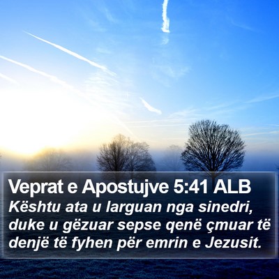 Veprat e Apostujve 5:41 ALB Bible Verse Image