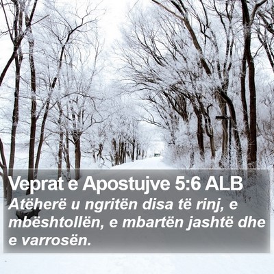 Veprat e Apostujve 5:6 ALB Bible Verse Image