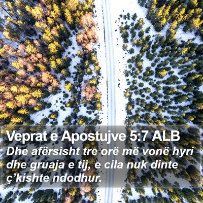 Veprat e Apostujve 5:7 ALB Bible Verse Image