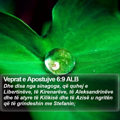 Veprat e Apostujve 6:9 ALB Bible Verse Image